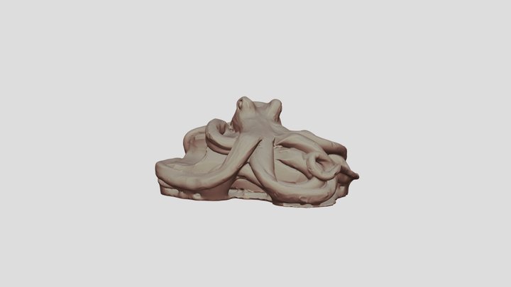 Octopus - Level 3 Art & Design (2nd Year) 3D Model