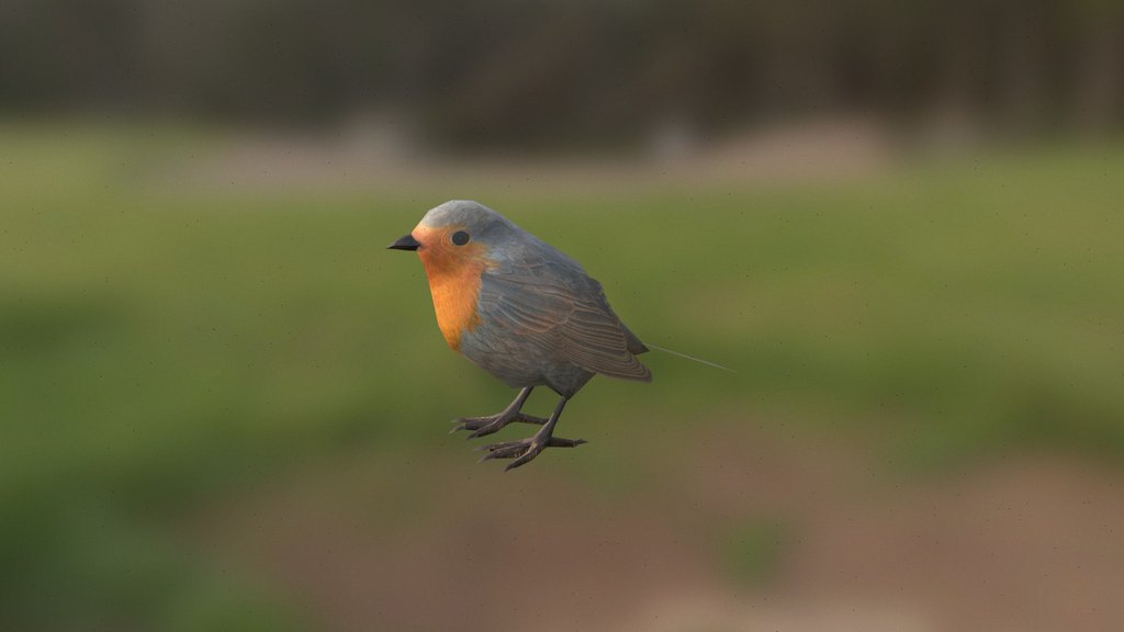 Lowpoly bird (Robin)