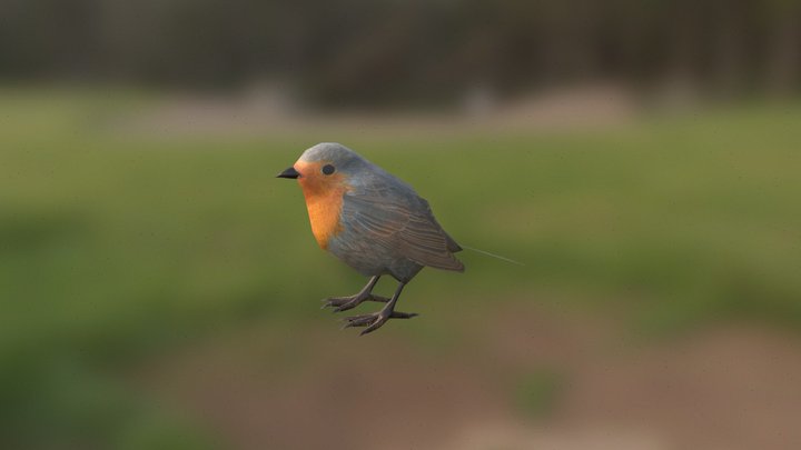 Lowpoly bird (Robin) 3D Model