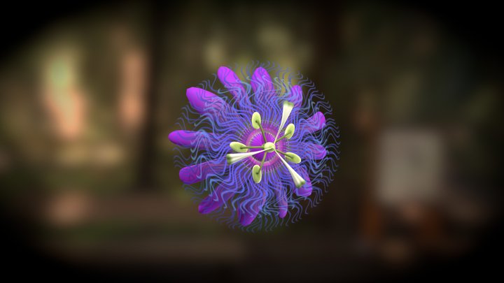 Passion flower 3D Model