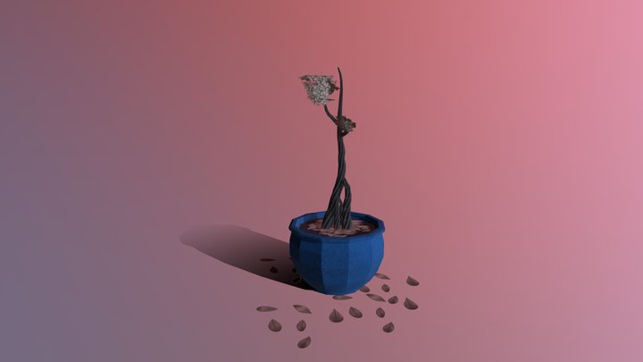 Dead Bonsai Tree 3D Model