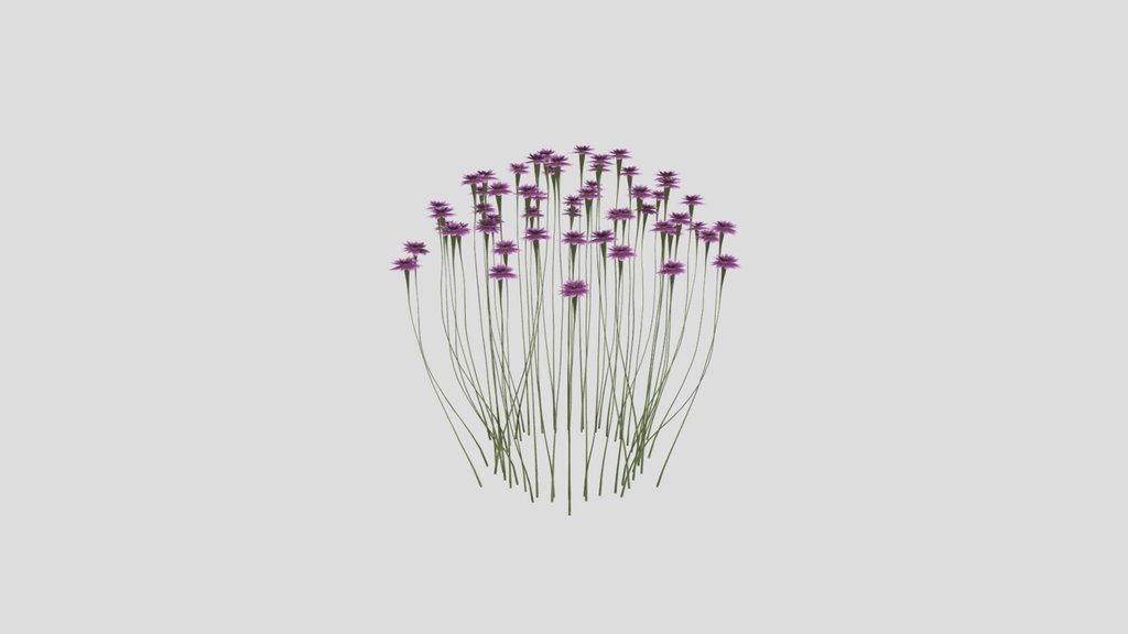 Sj Blooming Lavender Bush