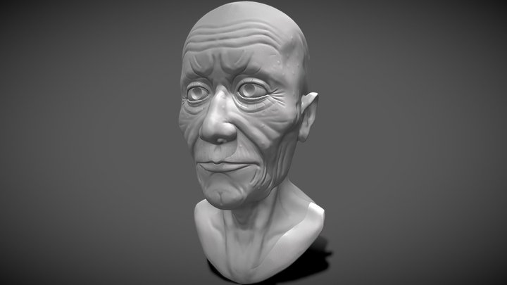 Day 17 - Deep Wrinkles (Sculpt January 2021) 3D Model