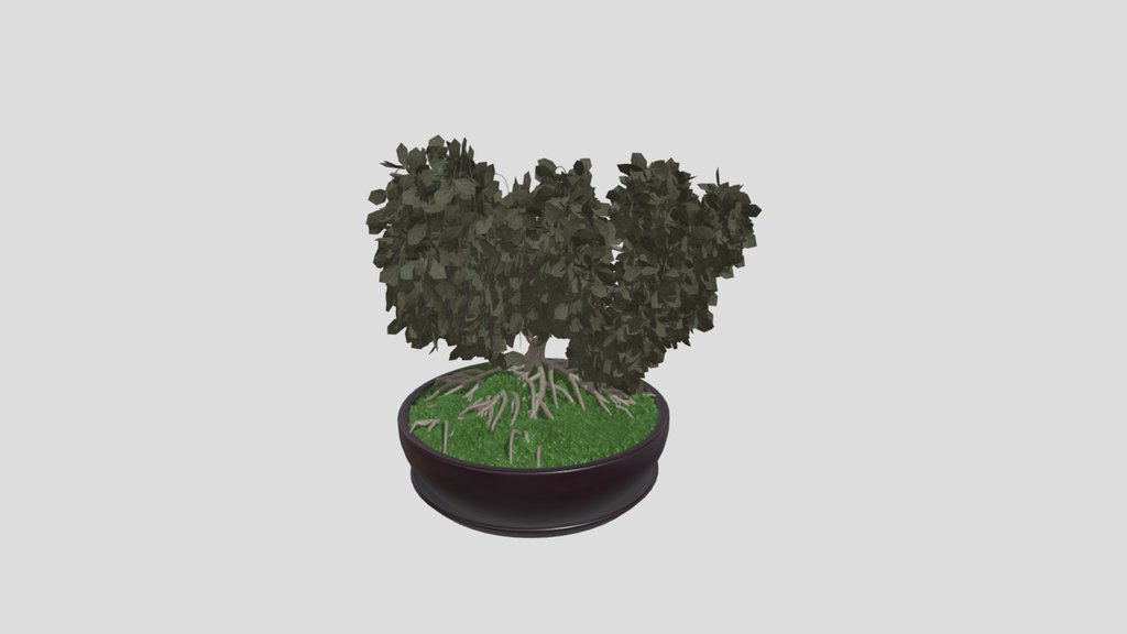 Plant
