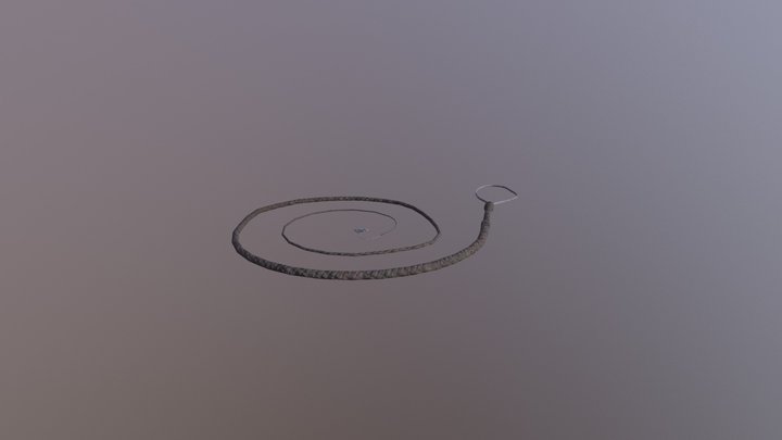 Whip 3D Model