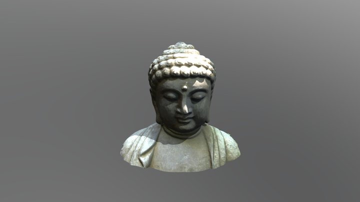 佛头 3D Model