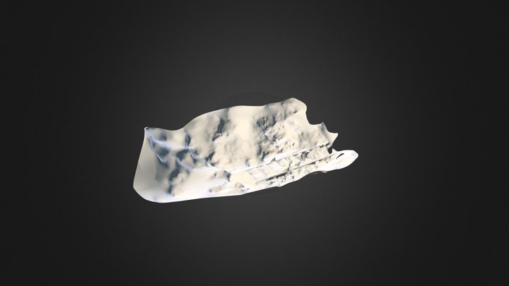 Ladder test (autocad 123D) 3D Model