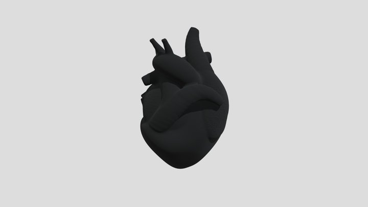 Heart 3D Model
