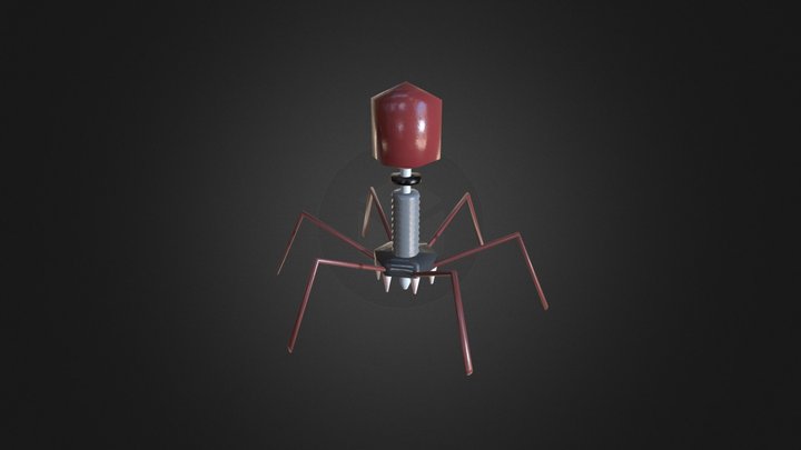 Bacteriophage Virus 3D Model