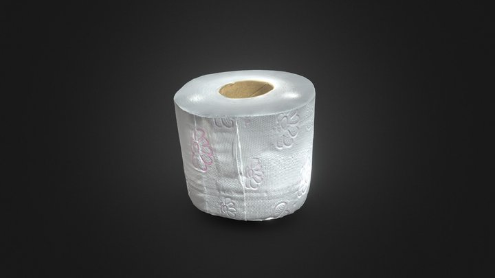 Isolation Creation II: Toilet Paper 3D Model