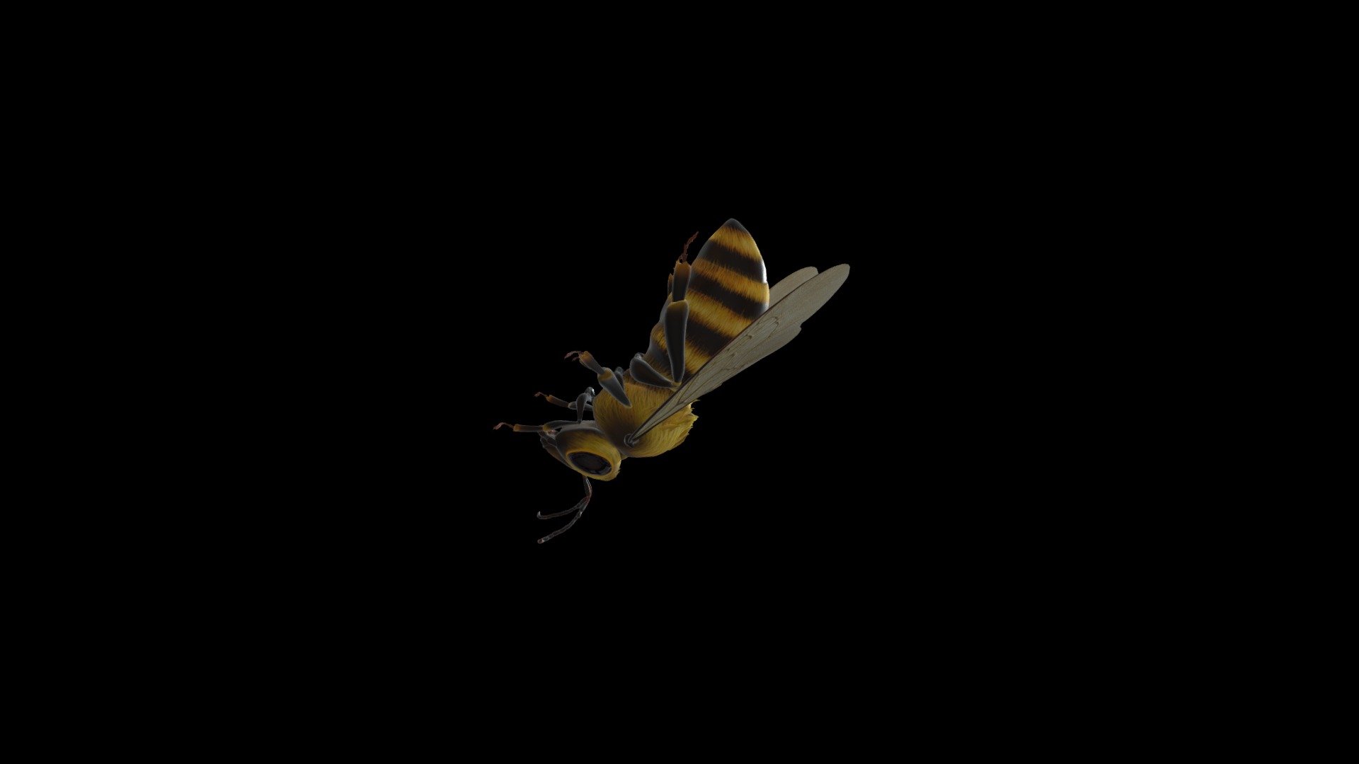 Bee - 3D model by ramliahidayat [e8342fb] - Sketchfab
