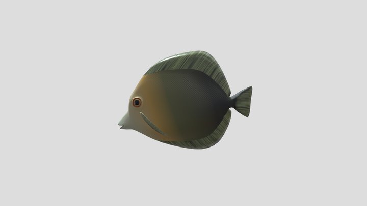 Fish 3D Model