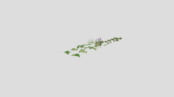 Flowers 3D Model