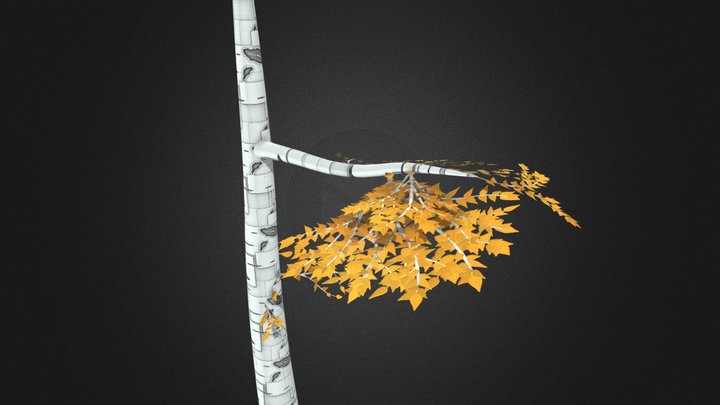 Birch Tree - Texture Work 3D Model