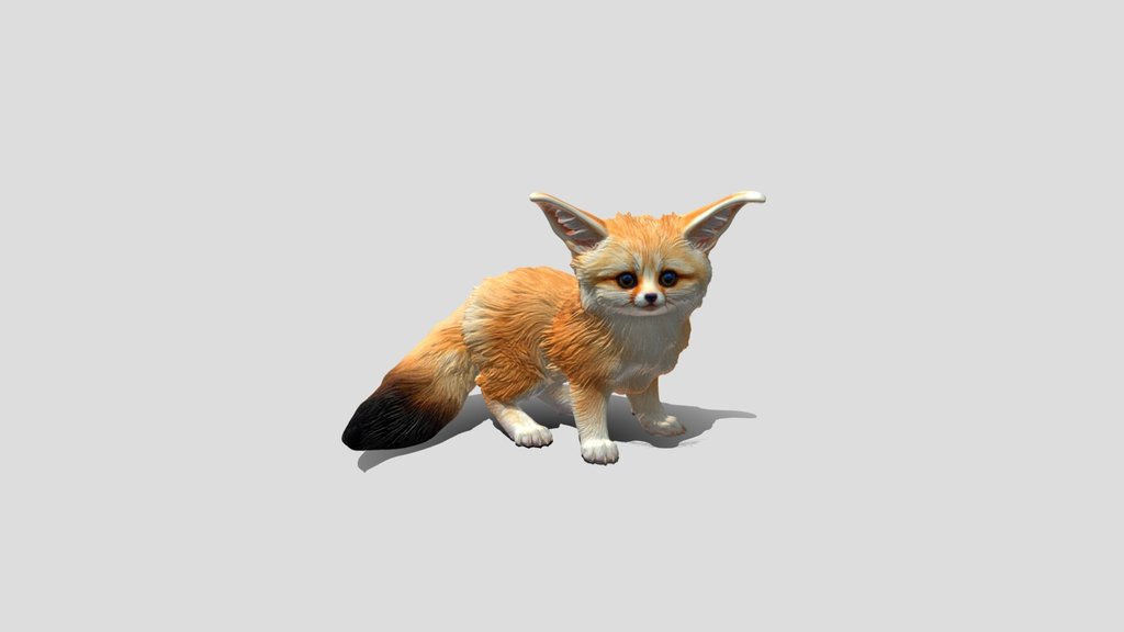 Curious Fox Kit