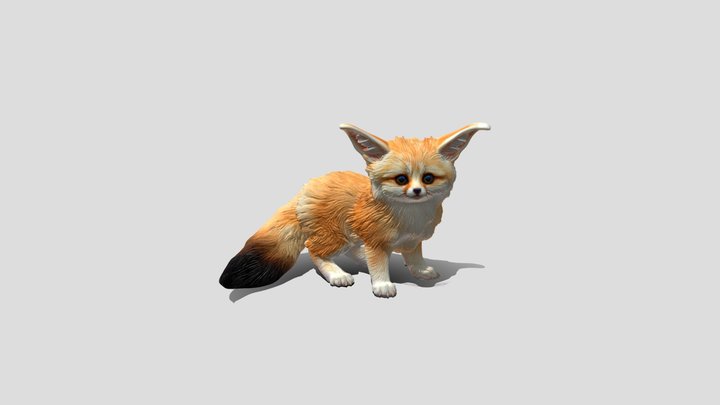 Curious Fox Kit – Kostenloses 3D-Modell STL