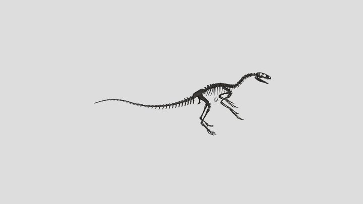 Fukuivenator paradoxus (3D Reconstruction) 3D Model