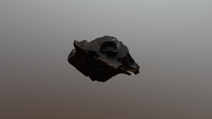 wood 3D Model