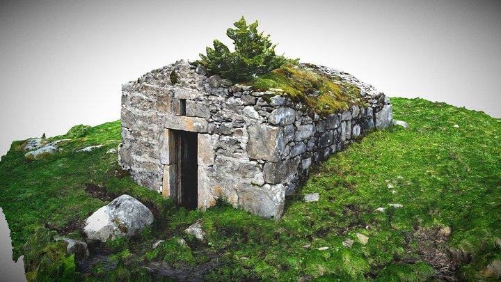Cave à fourme 3D Model
