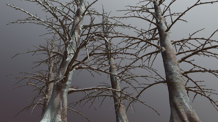 4 Dead Firs Trees pack (high-Poly) – Modello 3D gratuito STL