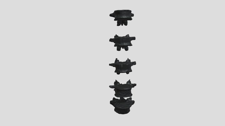 Pocketomy3D Data Lumbar Vertebrae Male 3D Model