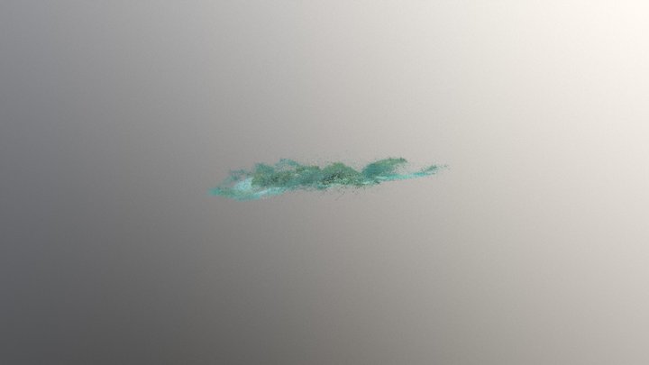 Coral Transect 2 3D Model