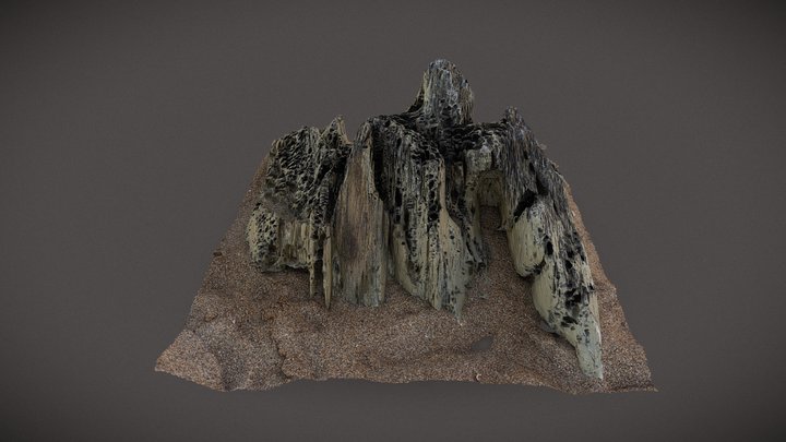Roca 3 3D Model