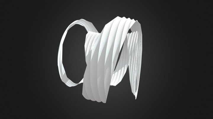 4d Clifford Ribbon 3D Model