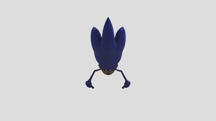 Shin_sonic 3D Model