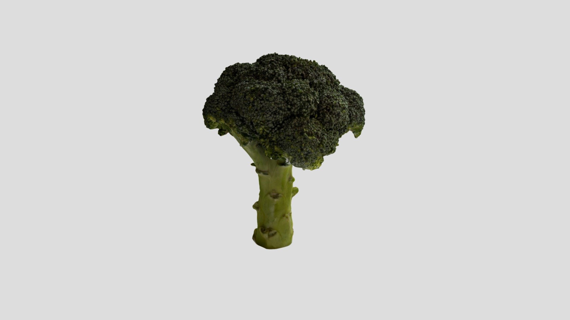 Broccoli Download Free 3d Model By Nicolafab E85a84c Sketchfab 0924