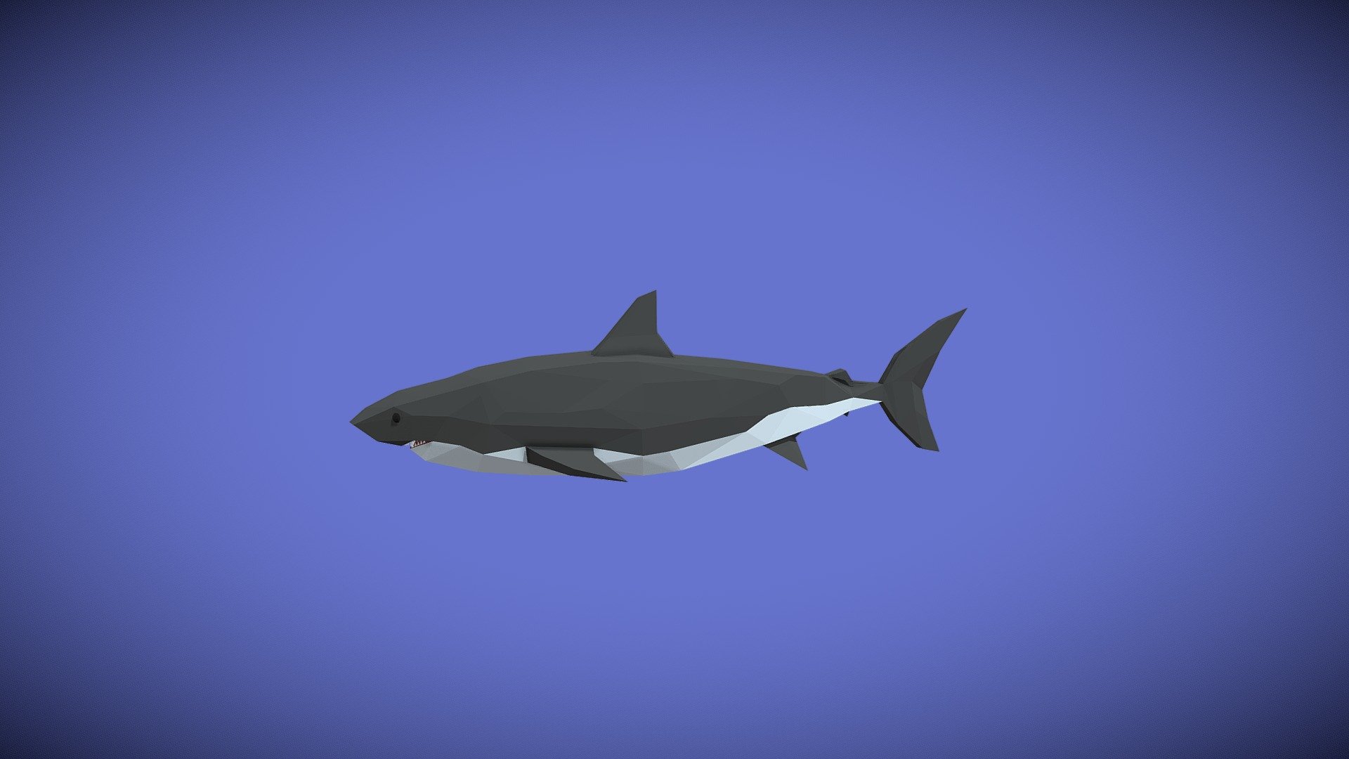 Free Low Poly Shark - Download Free 3D model by LukeModels75 (@lucss_3d ...