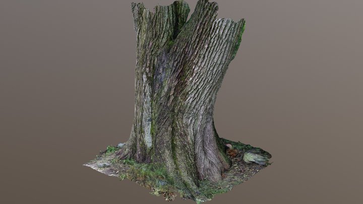Test 3D Model