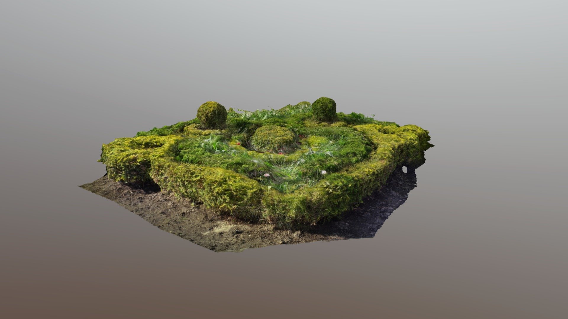 Gardening. Park. Landscape. 1