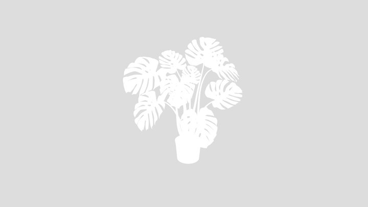 Monstera Plant In Pot – Modello 3D gratuito STL