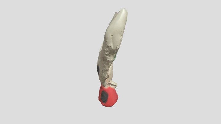 silksong – Modello 3D gratuito STL