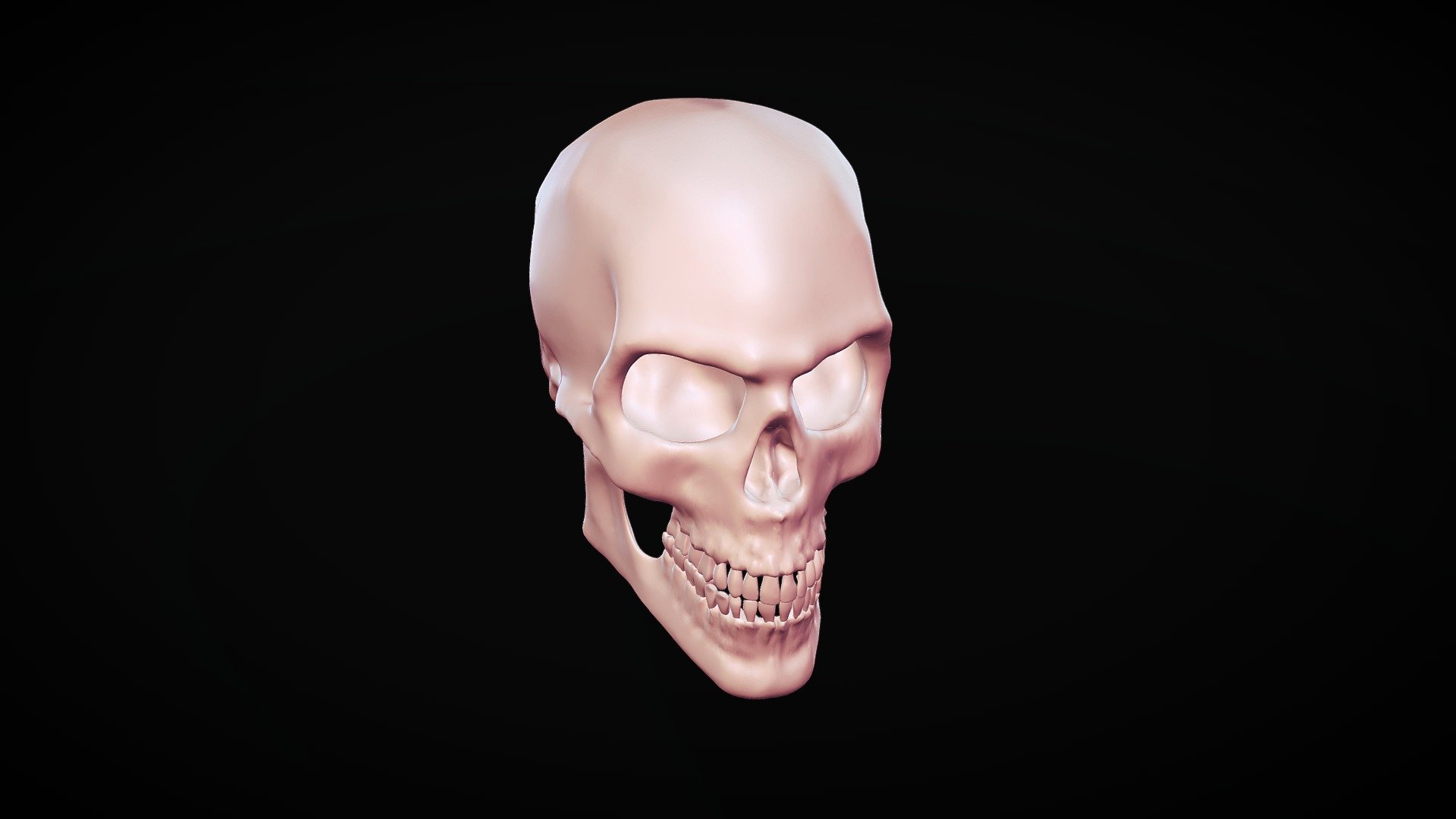 Mean looking Skull