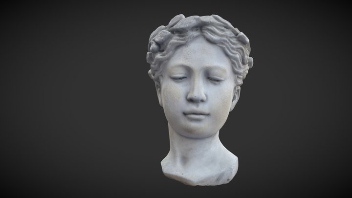 Lucas Saez - Cabeza 3D Model
