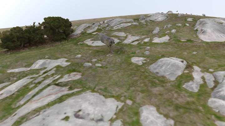 Dog Rocks in Batesford 3D Model