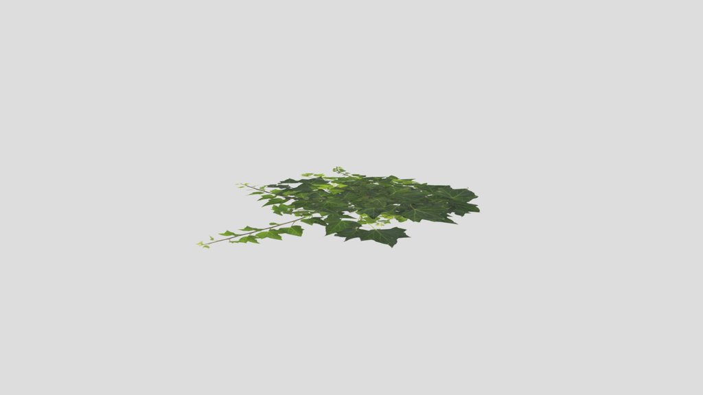Building Decor Ivy