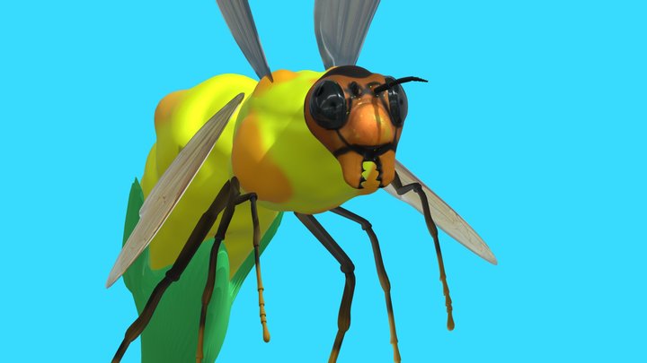Cornet 3D Model
