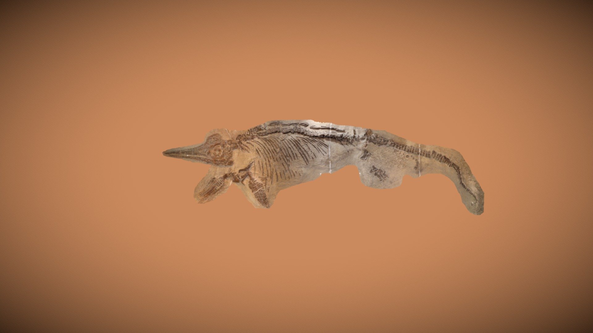 Caypullisaurus bonapartei - Download Free 3D model by Ballesteros Prada ...