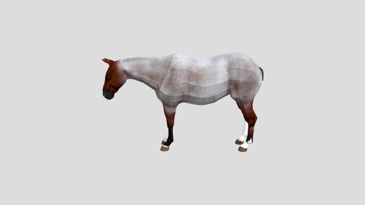 American Quarter Horse 3D Model