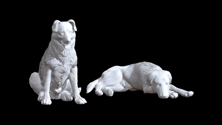 dogs lies sits 3D Model