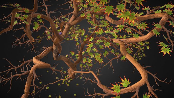 Maple Tree 3D Model