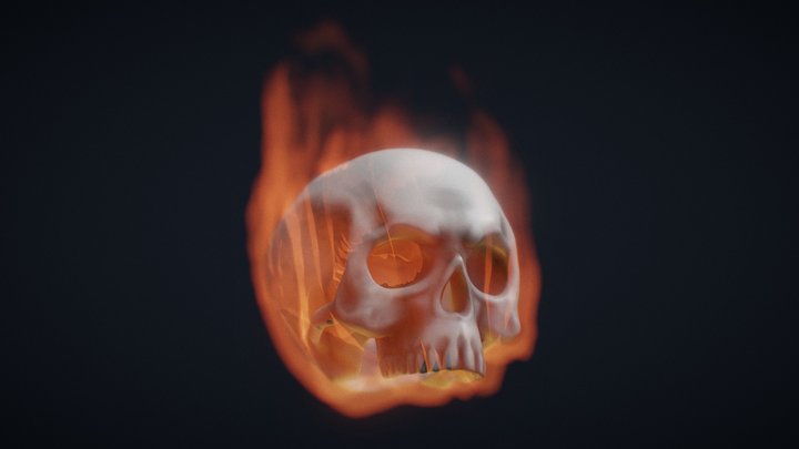 FLAME TEST 3D Model