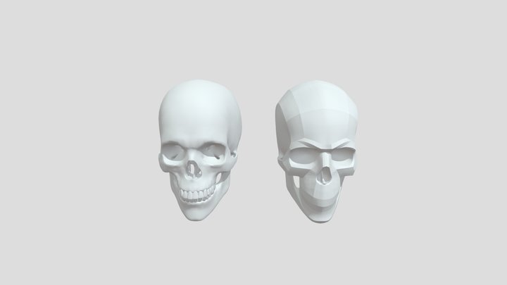 头骨 3D Model