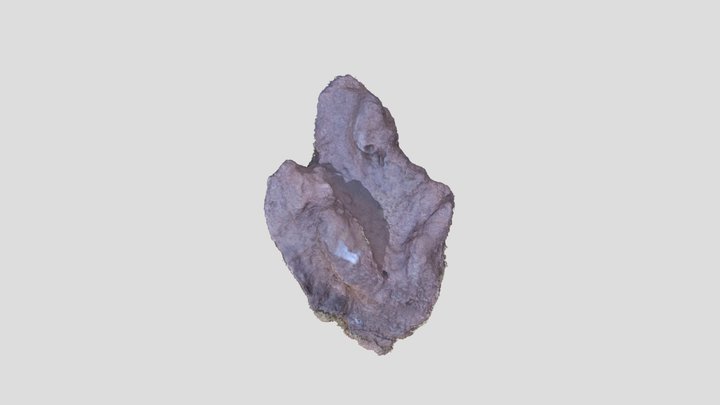 Muestra colección RICARDO – Modello 3D gratuito STL