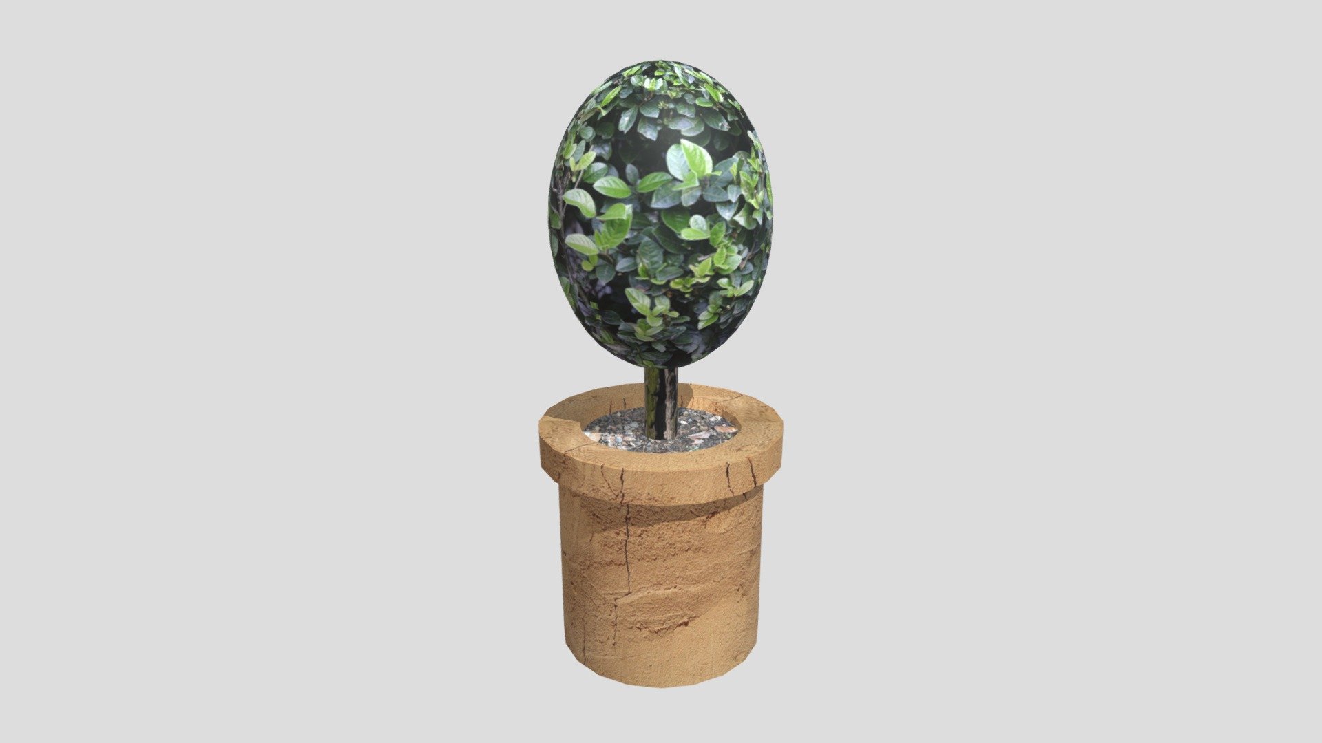 Bush — Sketchfab embed 3D viewer
