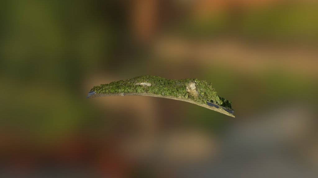 Rimutaka Southern Site Simplified 3d Mesh