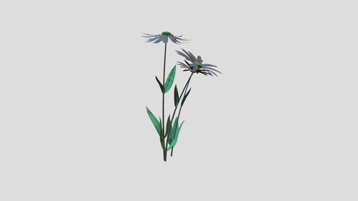 [08-12]Black Eyed Susan_geonodes convert 3D Model